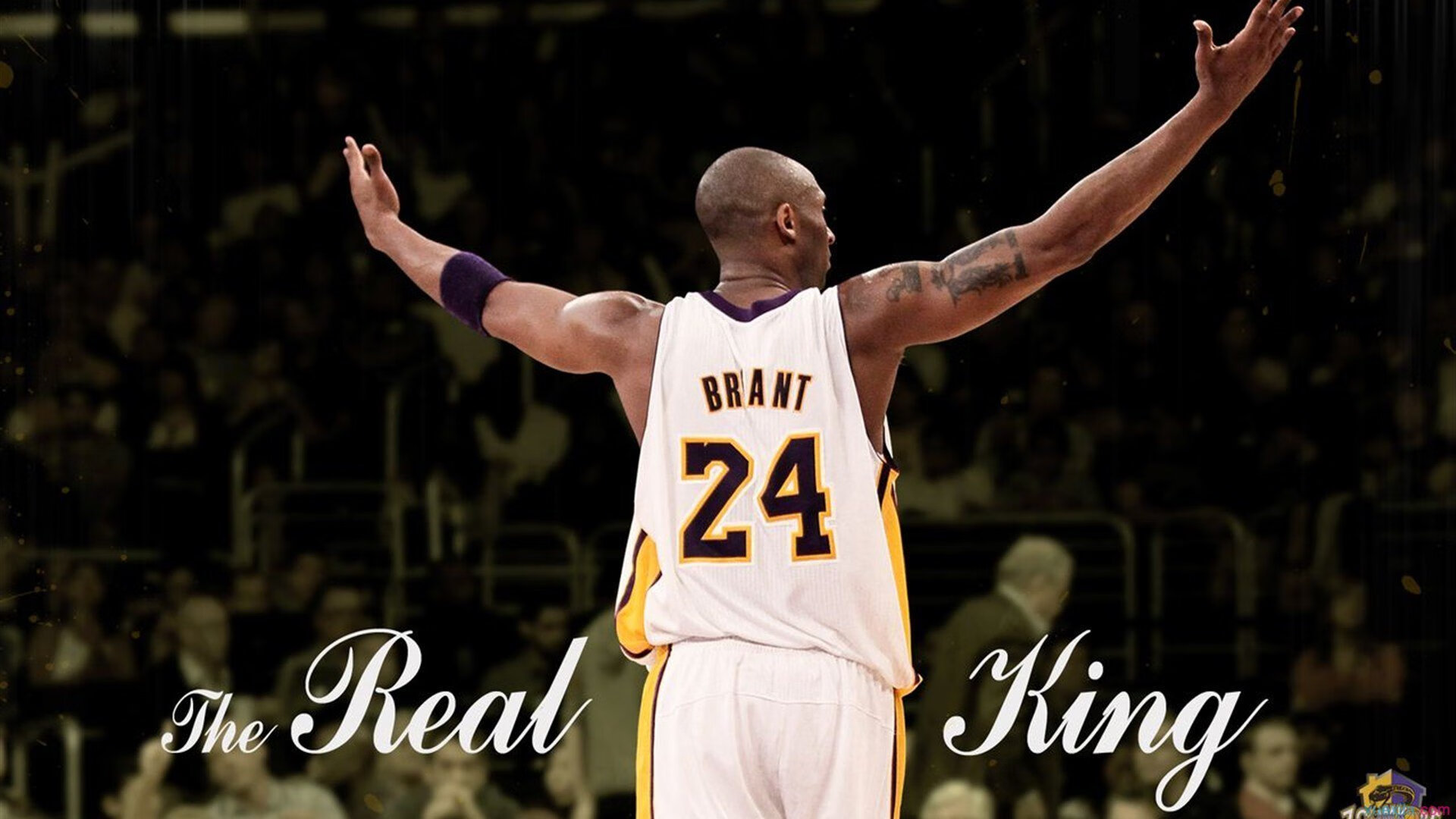 AYX GAMING-比赛现场气氛火爆回顾，比赛现场气氛活跃